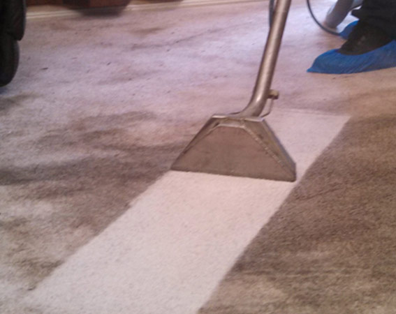 professional Carpet  Cleaning 